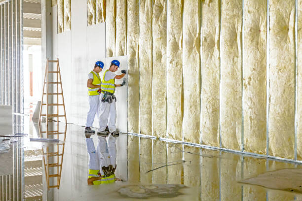 Best Commercial Insulation in Lucerne Valley, CA